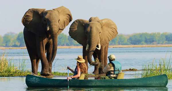 #14 tips before travelling to Zambia